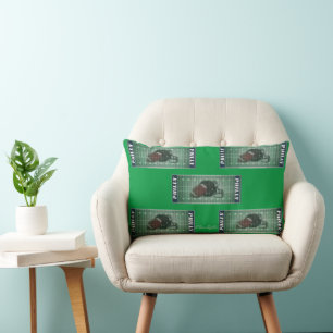 RECTANGLE COUSSIN DE FOOTBALL PHILLE