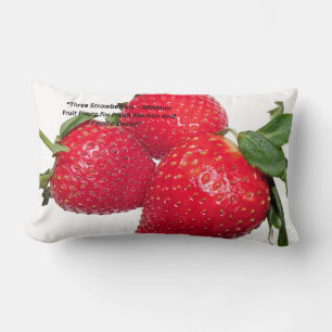 Rectangle Coussin de fruit naturel pour la décoration intér