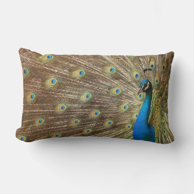 Rectangle Coussin de paon (Recto)