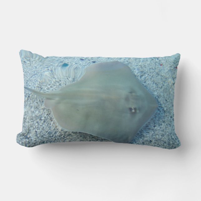 Rectangle Coussin de pastenague d'eau doux (Recto)