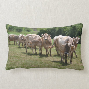 Rectangle Coussin de petit somme de Suisse Brown