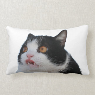 Rectangle Coussin de Pokey
