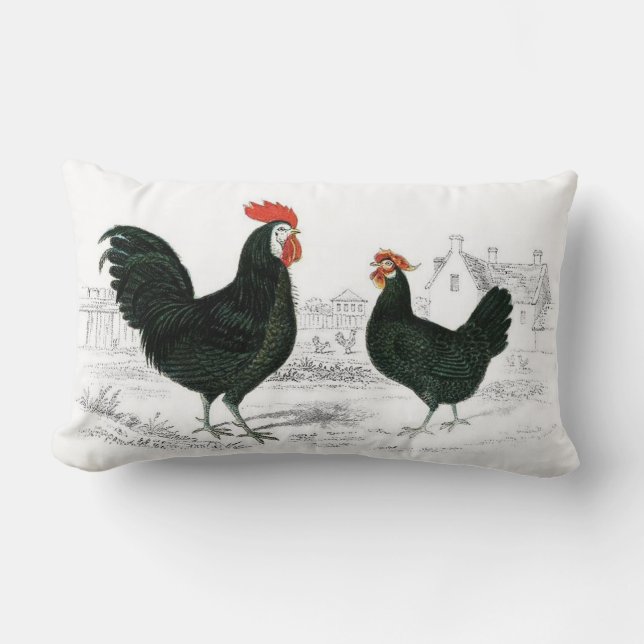 Rectangle Coussin de poulet (Recto)