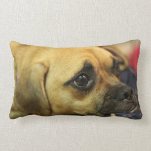 Rectangle Coussin de Puggle