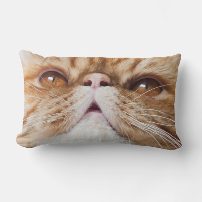 Rectangle coussin de souffle (Recto)