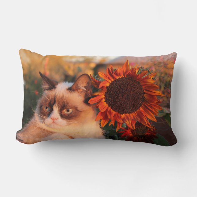 Rectangle Coussin grincheux de tournesol de chat (Recto)