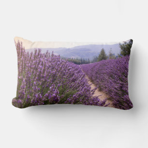 Rectangle Coussin Lavender Field