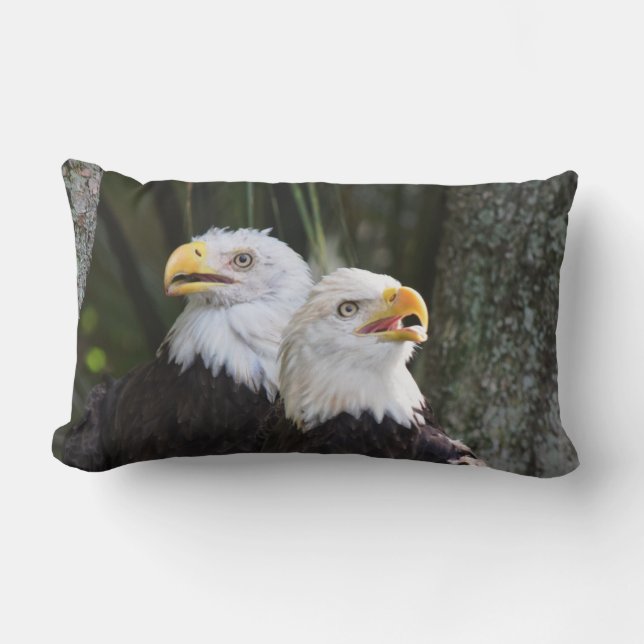 Rectangle Coussin lombaire chauve d'Eagle (Recto)
