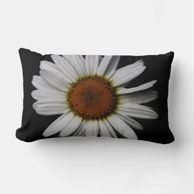 Rectangle Coussin lombaire de marguerite (Recto)