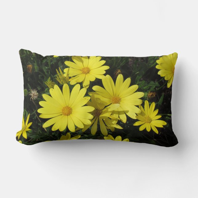 Rectangle Coussin - Marguerites jaunes (Recto)