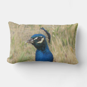 Rectangle Coussin Peacock Lumbar