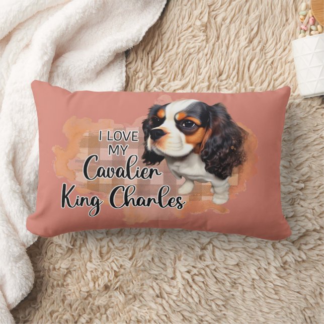Rectangle Coussin pour animaux de compagnie (Couverture)