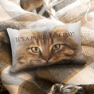Rectangle Coussin Purrfect Tabby Maine Coon Cat