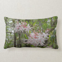 Coussin rose de chèvrefeuille