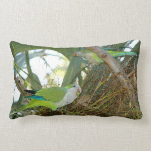 Rectangle Coussin vert d'oiseaux de perroquet de quaker