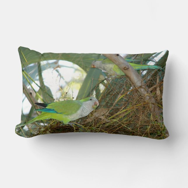 Rectangle Coussin vert d'oiseaux de perroquet de quaker (Recto)