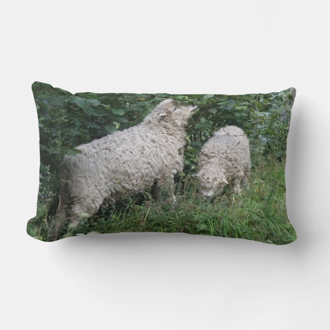 Rectangle Cute Mange Feuille Coussin (Recto)