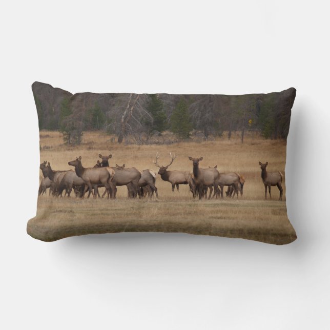 Rectangle Elk réversible sur un Coussin (Recto)
