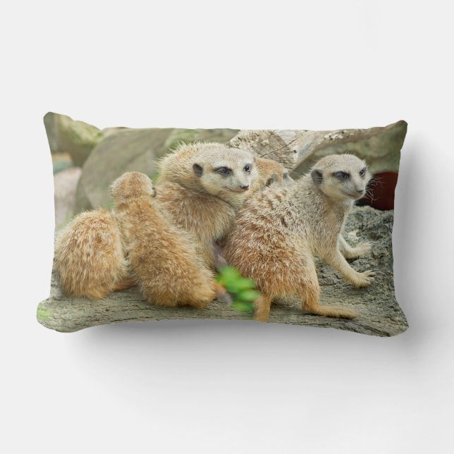 Rectangle Famille Meerkats - coussin (Recto)