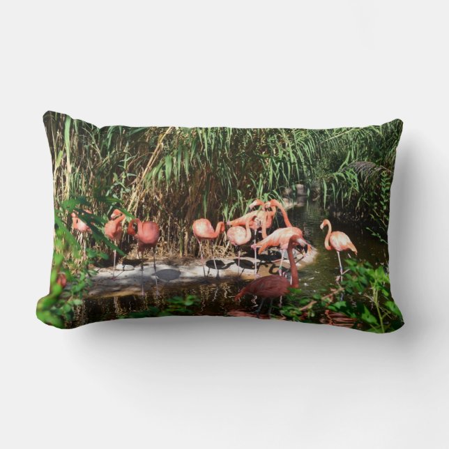 Rectangle Flamants roses Lumbar / Coussin de voyage (Recto)