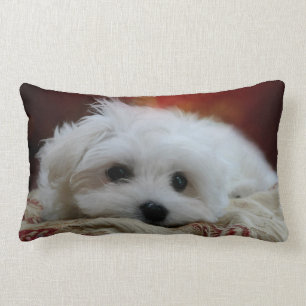 Rectangle Hermes le coussin maltais