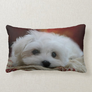 Rectangle Hermes le coussin maltais