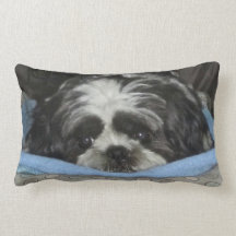 Huggable Coussin de chih Tzu