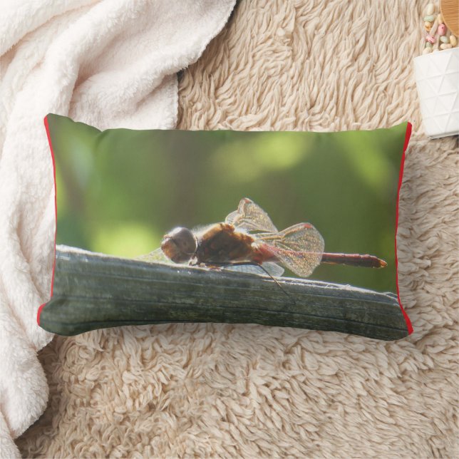 Rectangle La libellule rouge dans le Coussin solaire (Couverture)