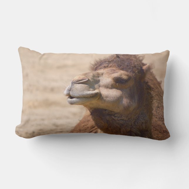 Rectangle Le dromadaire - Coussin (Recto)