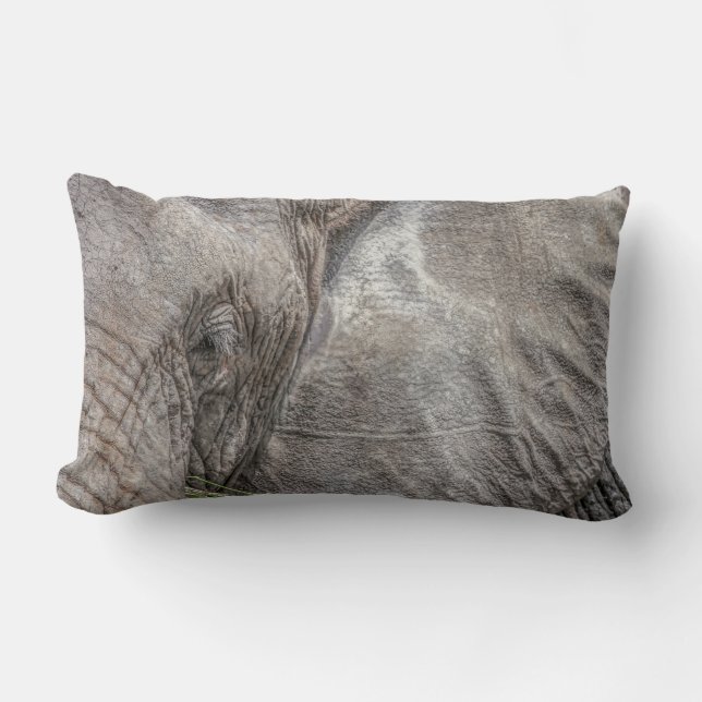 Rectangle Magnifique Coussin éléphant (Recto)