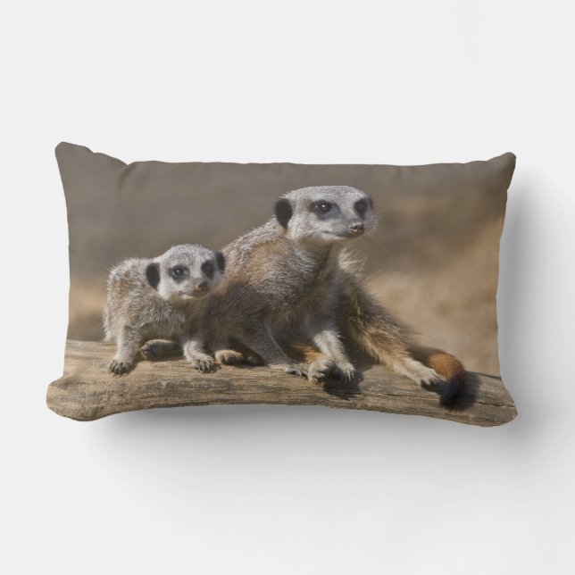 Rectangle Montre avec le coussin de mère (Recto)