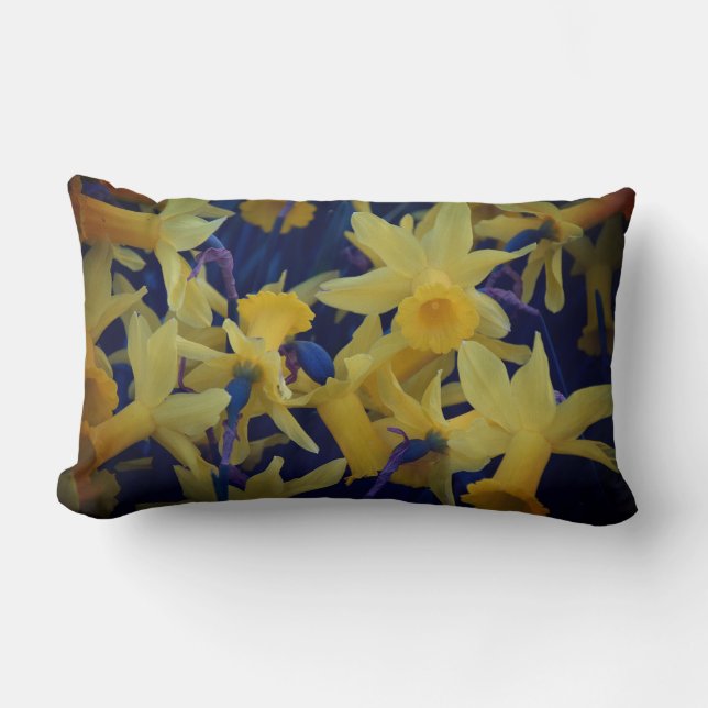 Rectangle Oh Tant De Daffodiques Accent Lumbar Coussin (Recto)