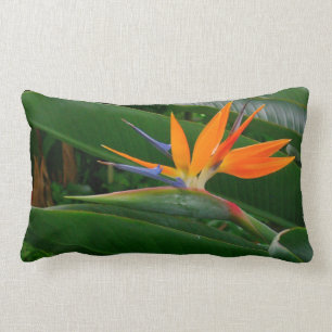 Rectangle Oiseau de fleur de paradis (photog.) Coussin