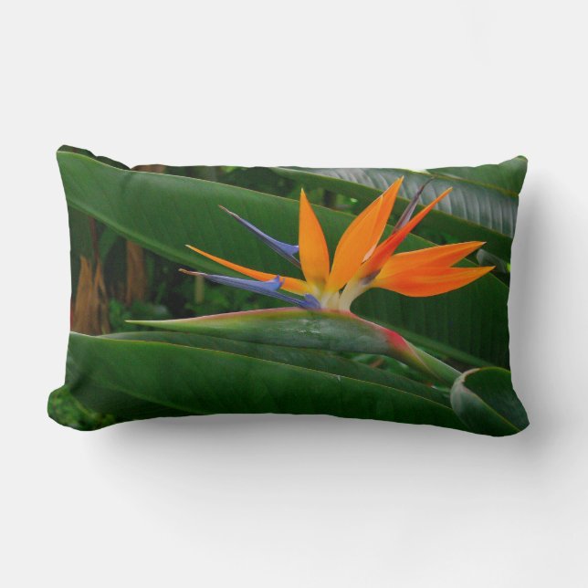 Rectangle Oiseau de fleur de paradis (photog.) Coussin (Recto)