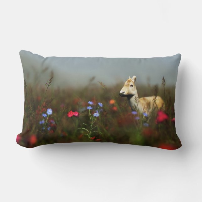 Rectangle Roe dans un Coussin de prairie (Recto)