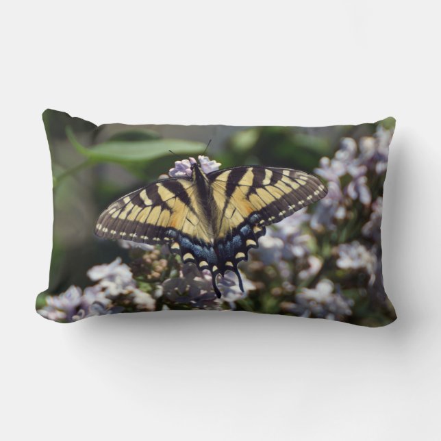 Rectangle Tiger Swallowtail Lumbar Coussin (Recto)