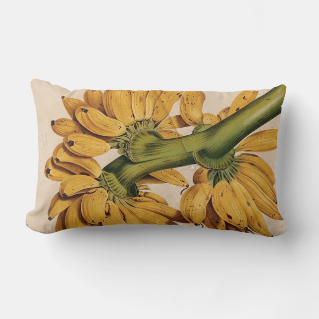 Rectangle Vintage Tropical Banana Lumbar Coussin (Recto)