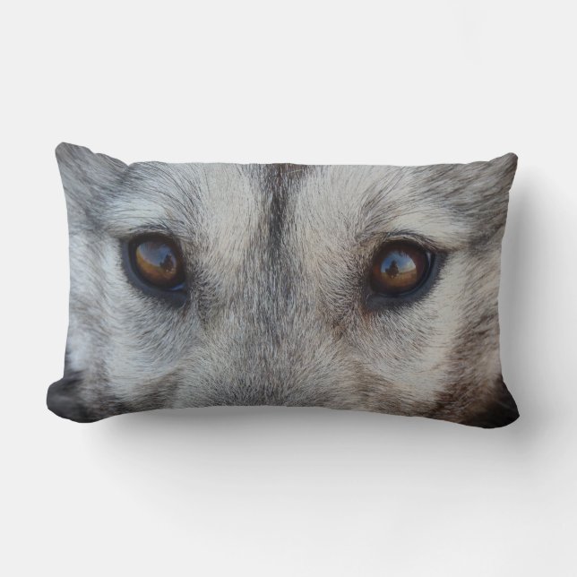 Rectangle Wolf Eyes Coussin Husky Wolf Pup Cadeaux Coussin (Recto)