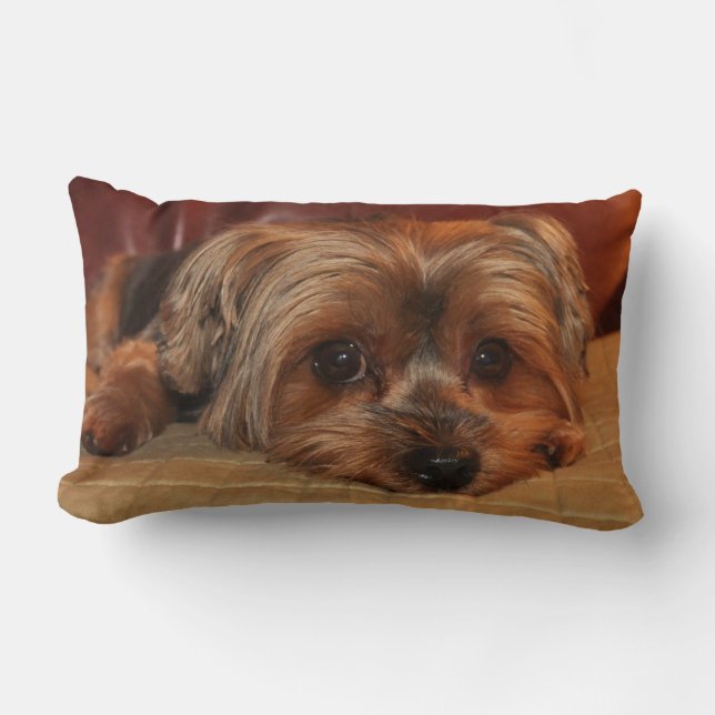 Rectangle Yorkshire Terrier Lumbar Coussin (Recto)