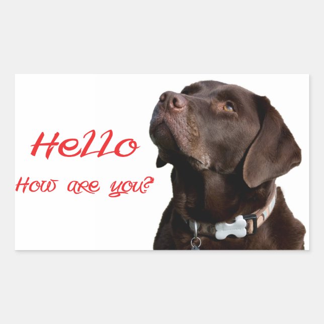 Rectangulaire Bonjour Black Brown Labrador Retriever Sticker Éti (Devant)