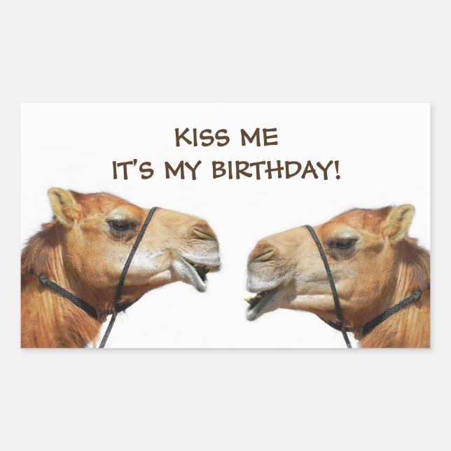 Rectangulaire Camels Kissing Funny Sticker (Devant)