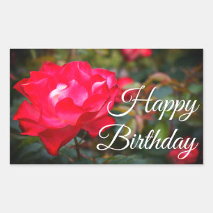 Rectangulaire Joyeux Anniversaire Cherry Parfait Rose #2 Sticker