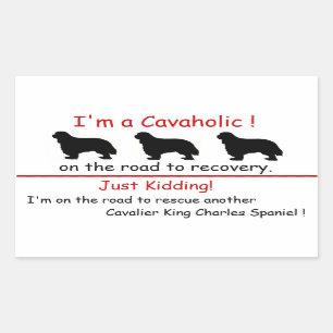 Rectangulaire Le Roi cavalier Charles Sticker de Cavaholic