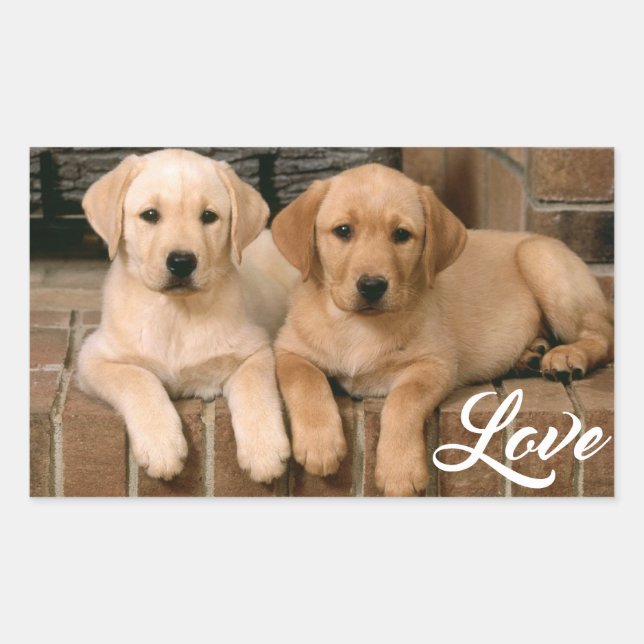 Rectangulaire Love Yellow Labrador Retriever Puppies Sticker (Devant)