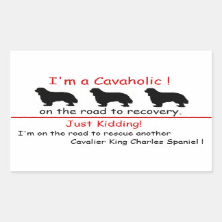 Rectangulaire Sticker Cavaholic Cavalier King Charles