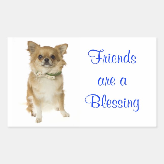 Rectangulaire Sticker de salutation des amis Long Haired Chihuah (Devant)
