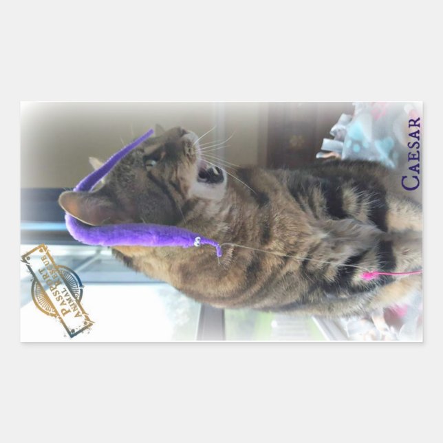 Rectangulaire Sticker PAR César (Devant)