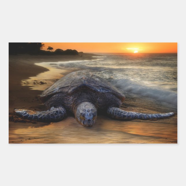 Rectangulaire Sticker pour tortue de mer coucher du soleil (Devant)
