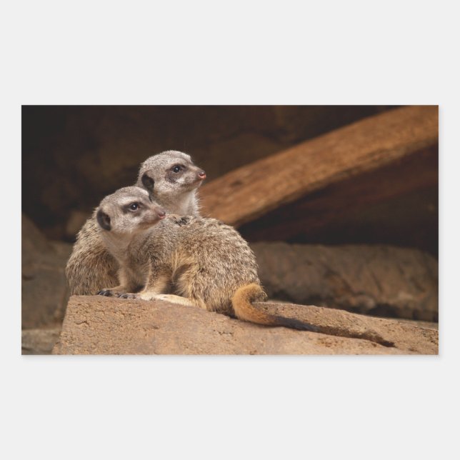 Rectangulaire Sticker Rectangle Meerkat (Devant)