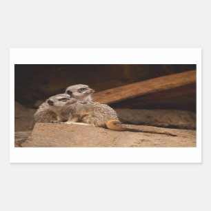 Rectangulaire Sticker Rectangle Meerkat